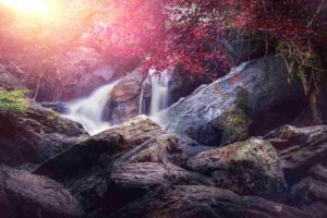 Illustrazione cascata con riflessi rosa