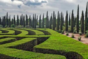 Labirinto di siepi