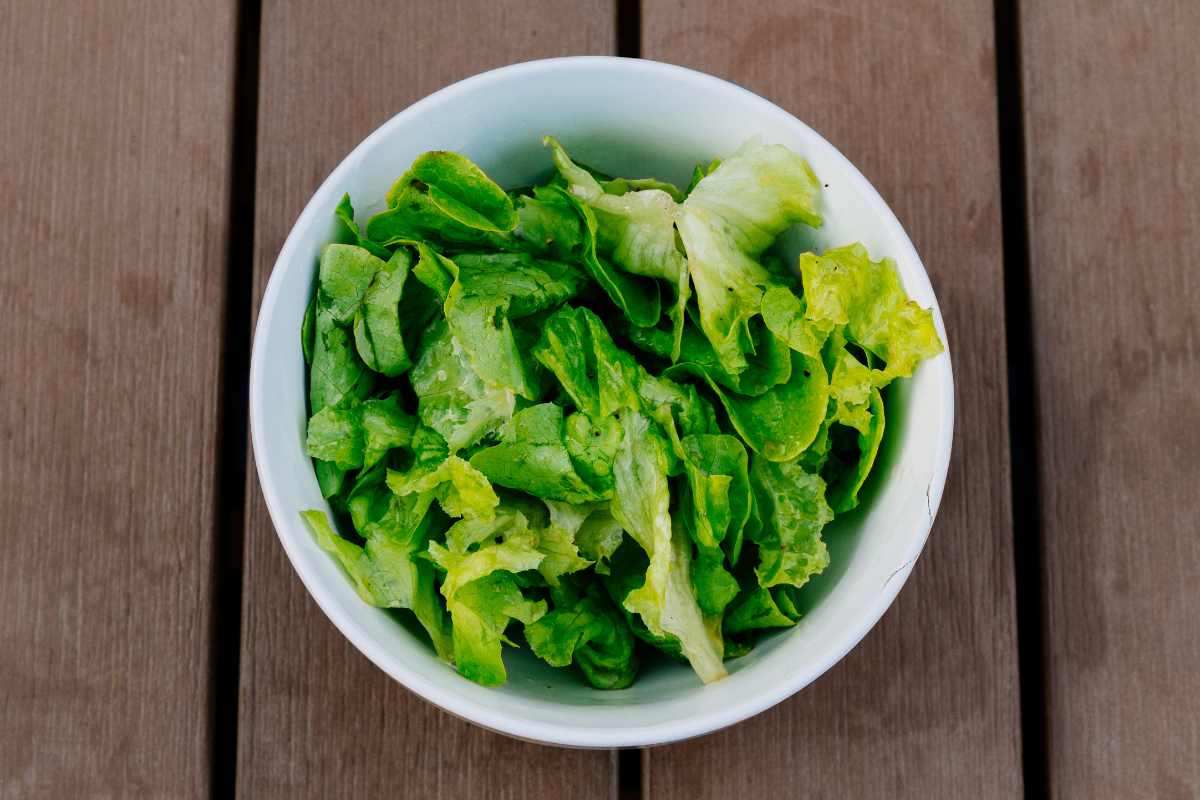 insalata