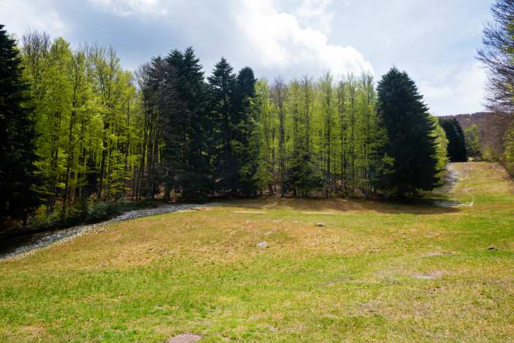 Parco Faunistico del Monte Amiata Toscana 