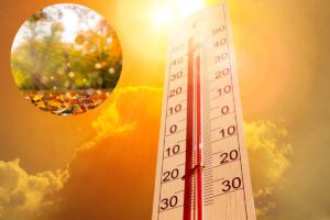 temperature alte e immagine autunno
