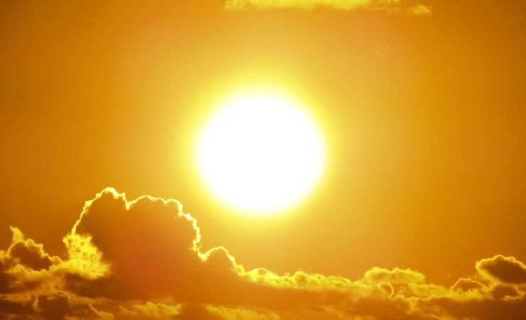 sole 