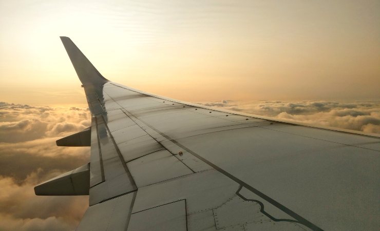 ali aereo