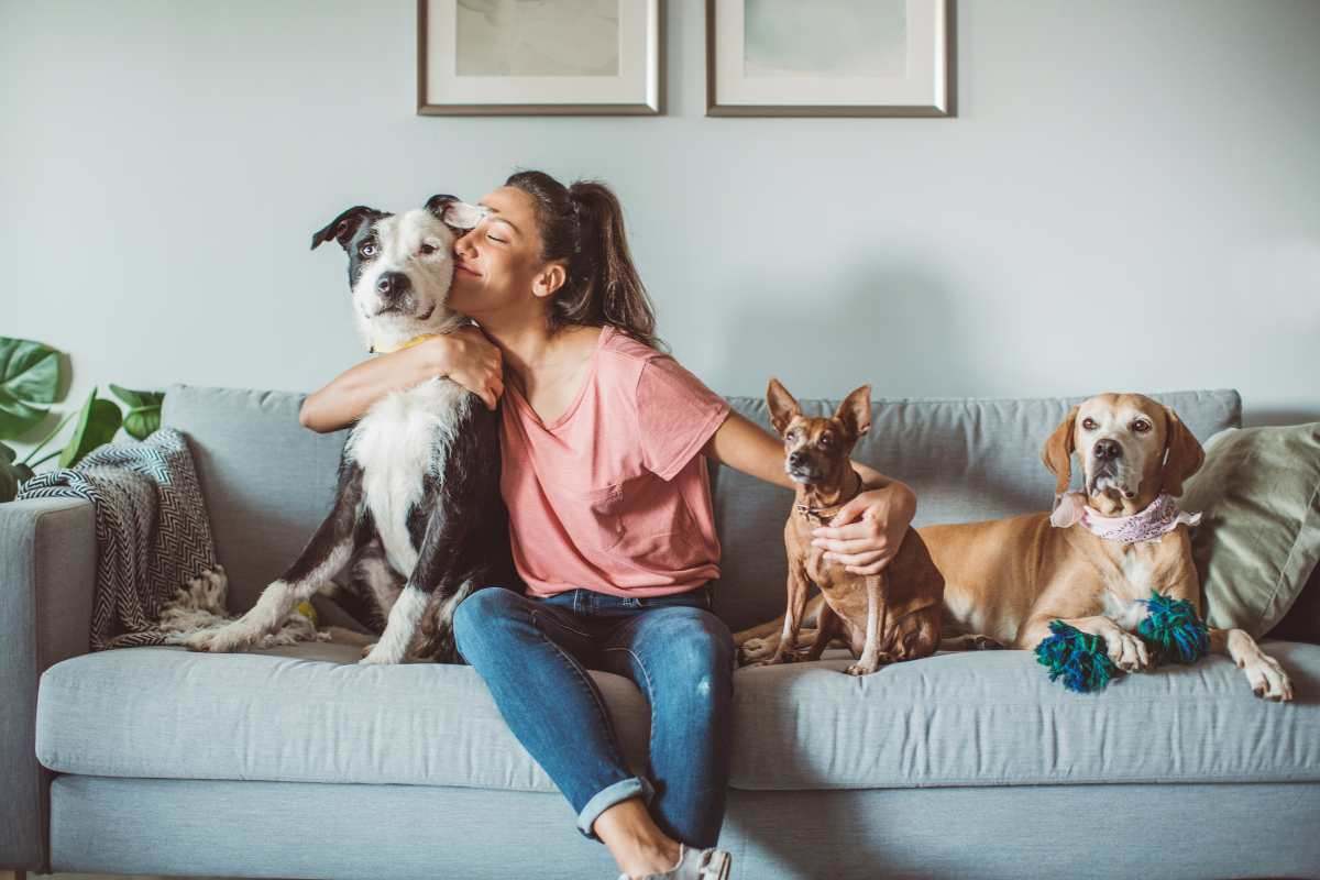 ragazza sul divano con tre cani