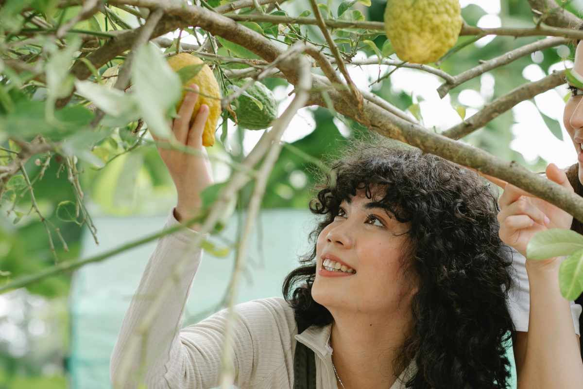 Una ragazza che coglie un limone da un albero