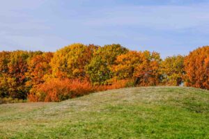 panorama autunnale