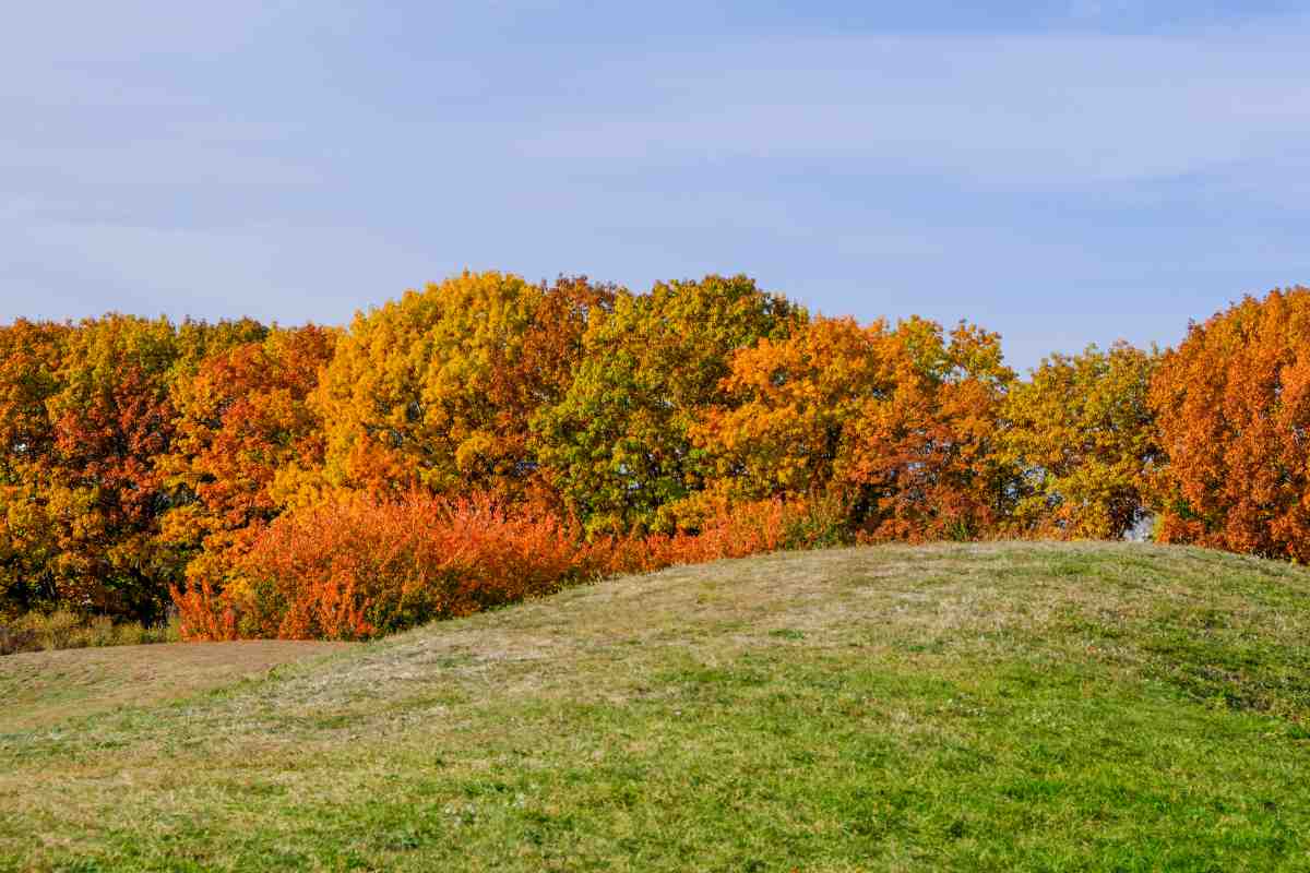panorama autunnale