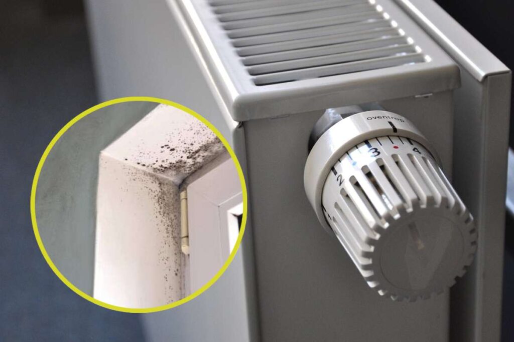 Quest’anno non mettere mai questa temperatura ai termosifoni: ti ritrovi muffa in casa