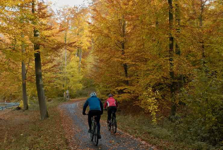 persone in bici in un paesaggio autunnale