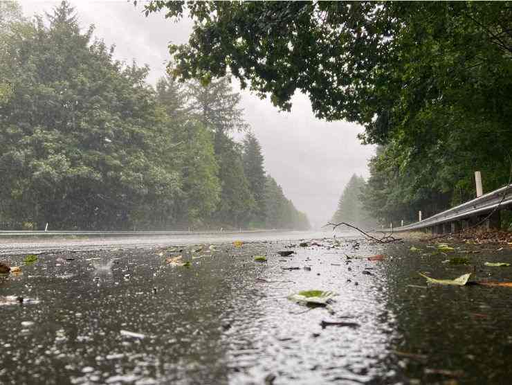 paesaggio piovoso e strada deserta
