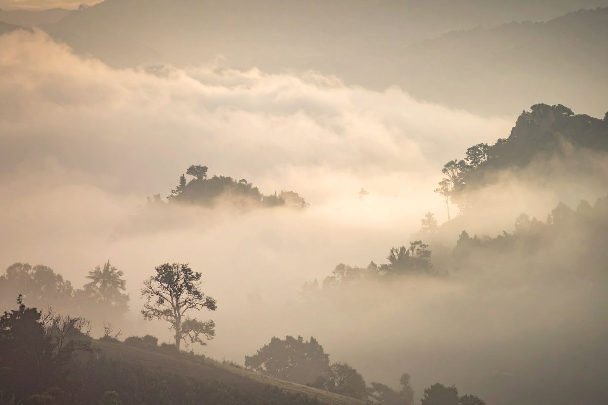 paesaggio con la nebbia